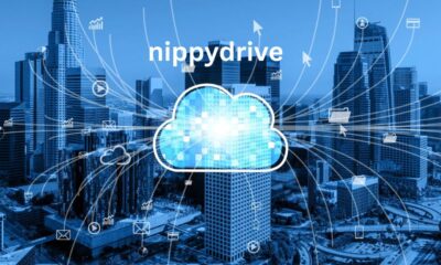 nippydrive: Go-To Solution for Remote Teams in 2025
