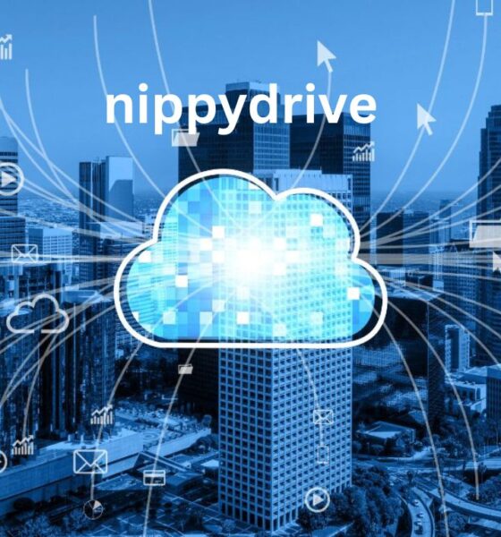 nippydrive: Go-To Solution for Remote Teams in 2025